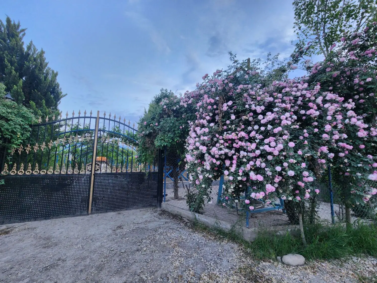 خانه باغ ۶۰۰۰متر ۳۰۰۰مترخانه باغ و۳قطعه هزارمتری