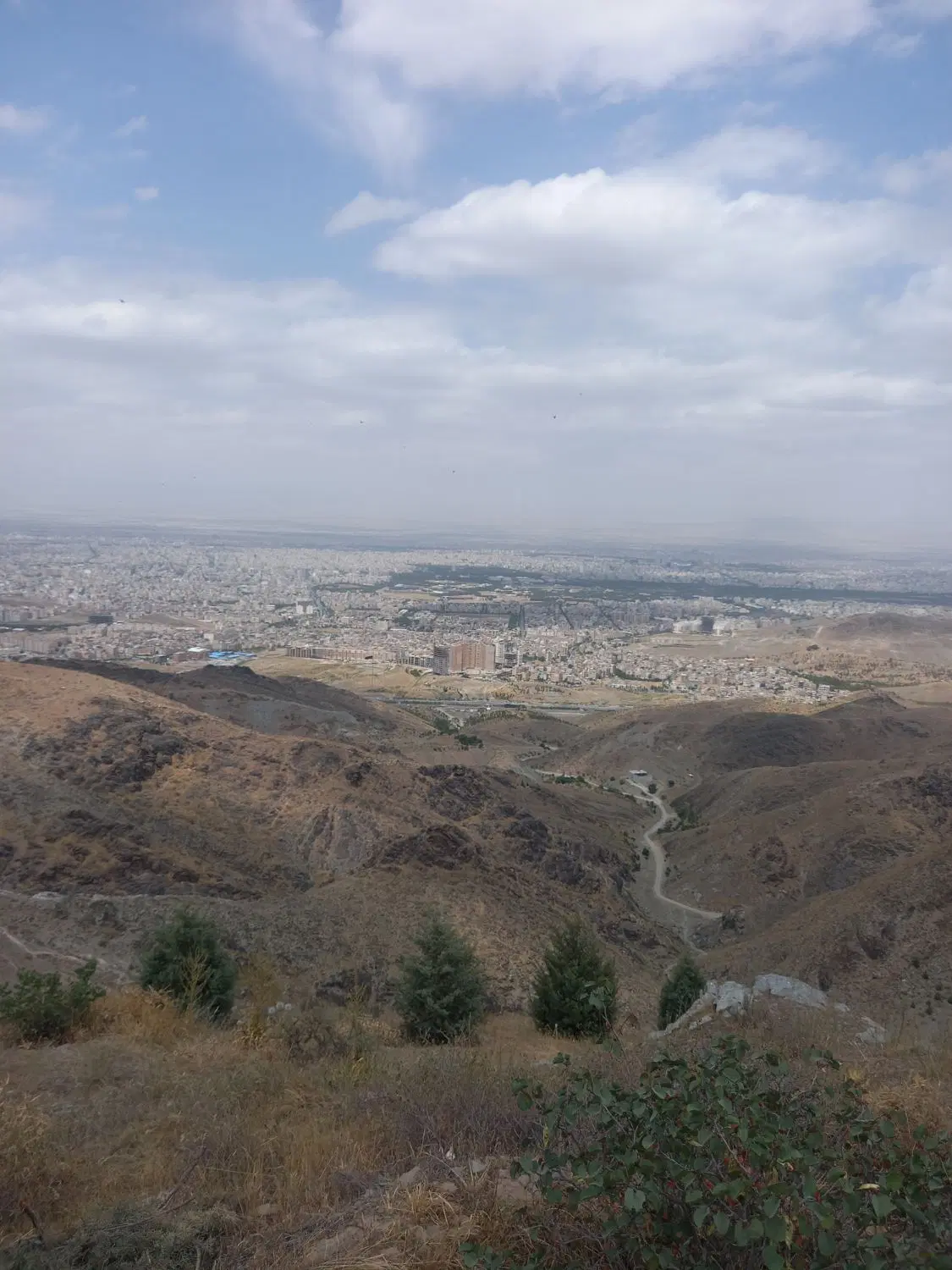 زمین ارتفاعات هاشمیه سندشش دانگ