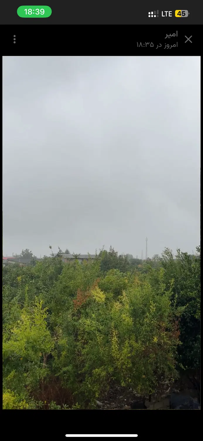 523متر_باغ پرتقال_معاوضه