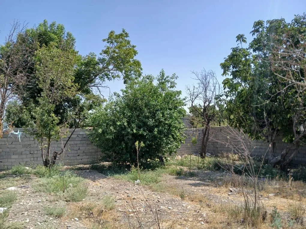 ۲۵۰ متر چهاردیواری خوشنام آبشار