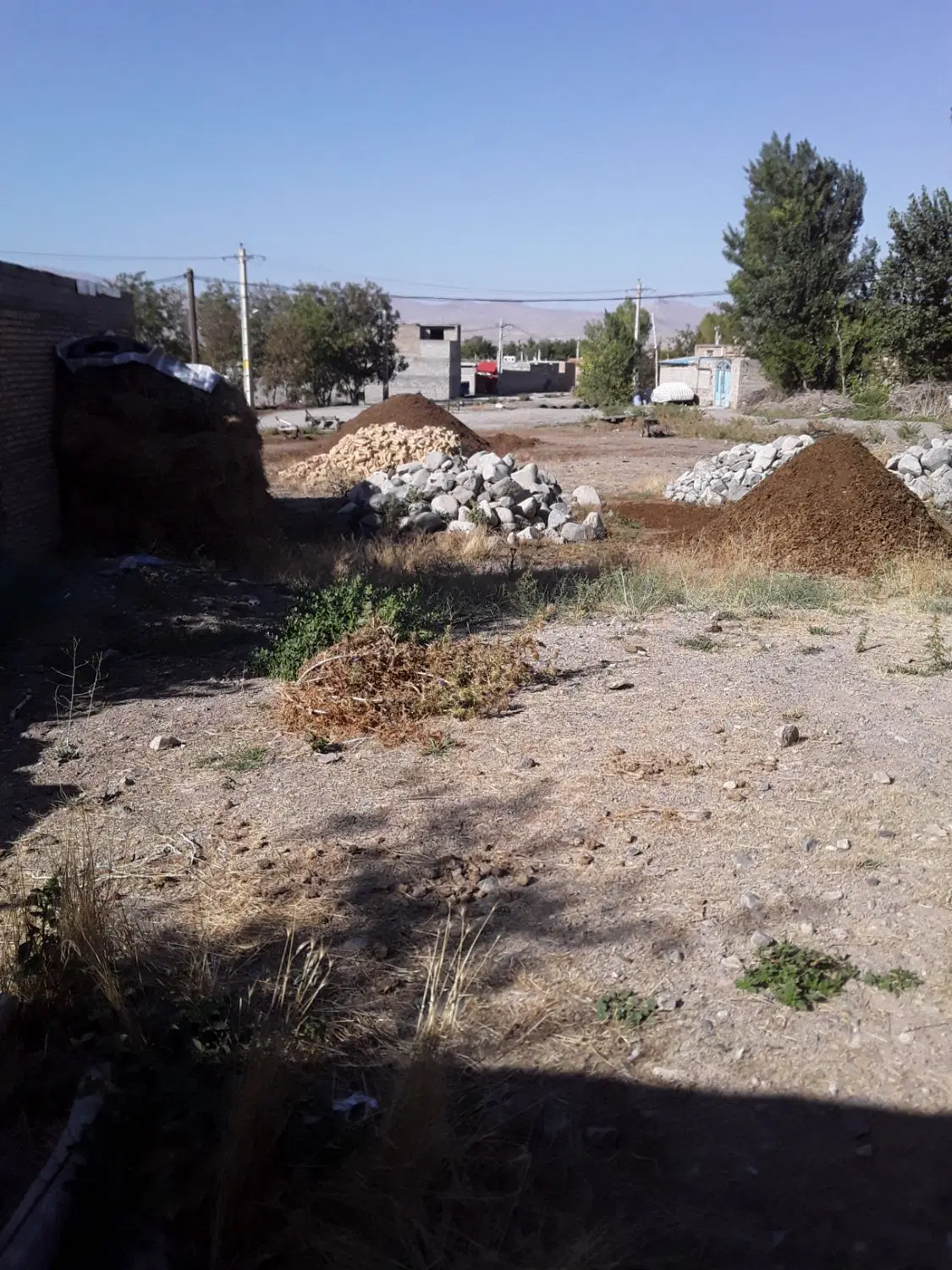 زمین حدود ۳۰۰متر ریحان