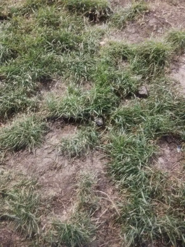 زمین مسکونی خیابان نجفی