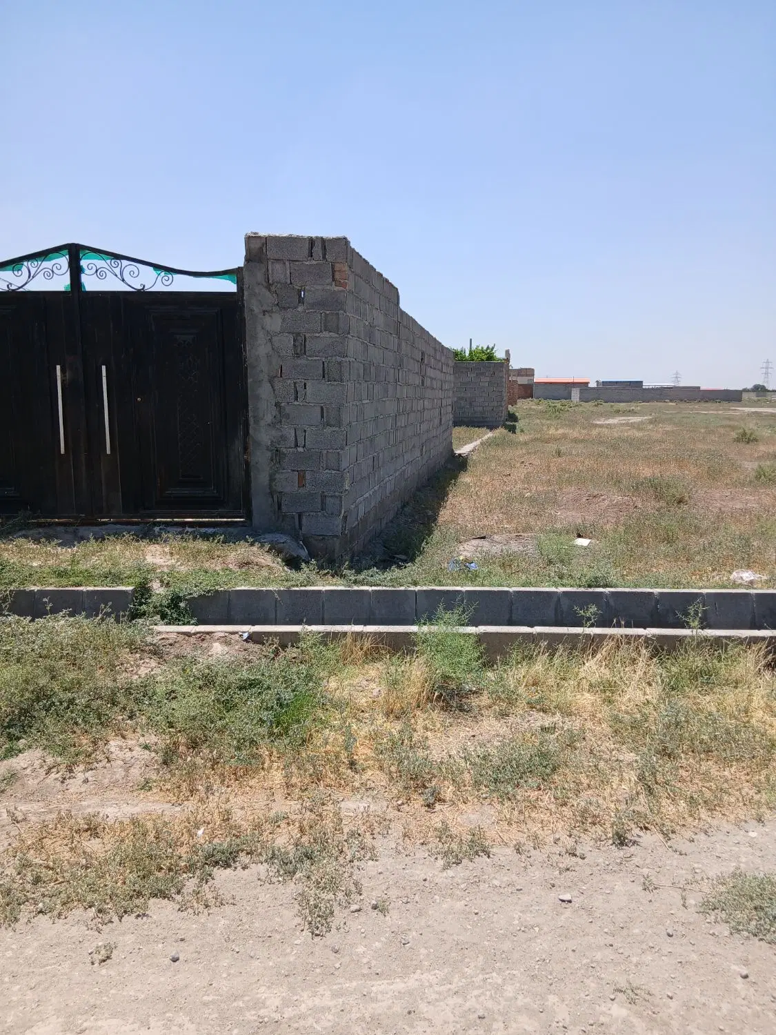 باغمعروف زمین سالن