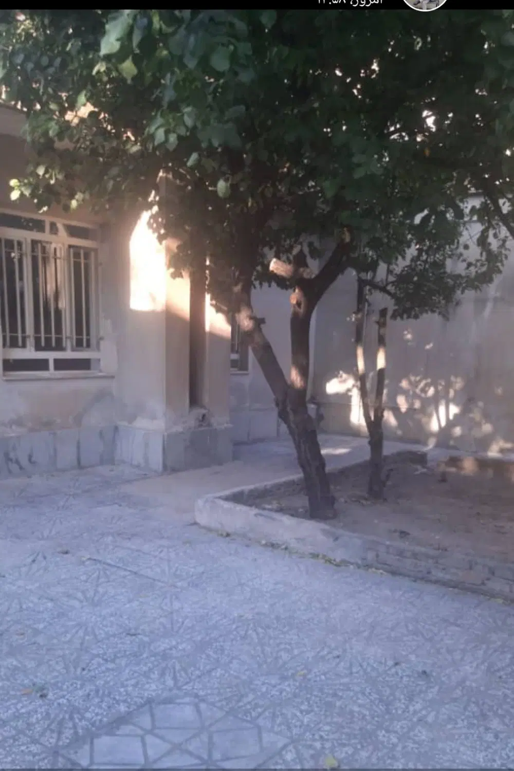 ویلایی دربست صفا