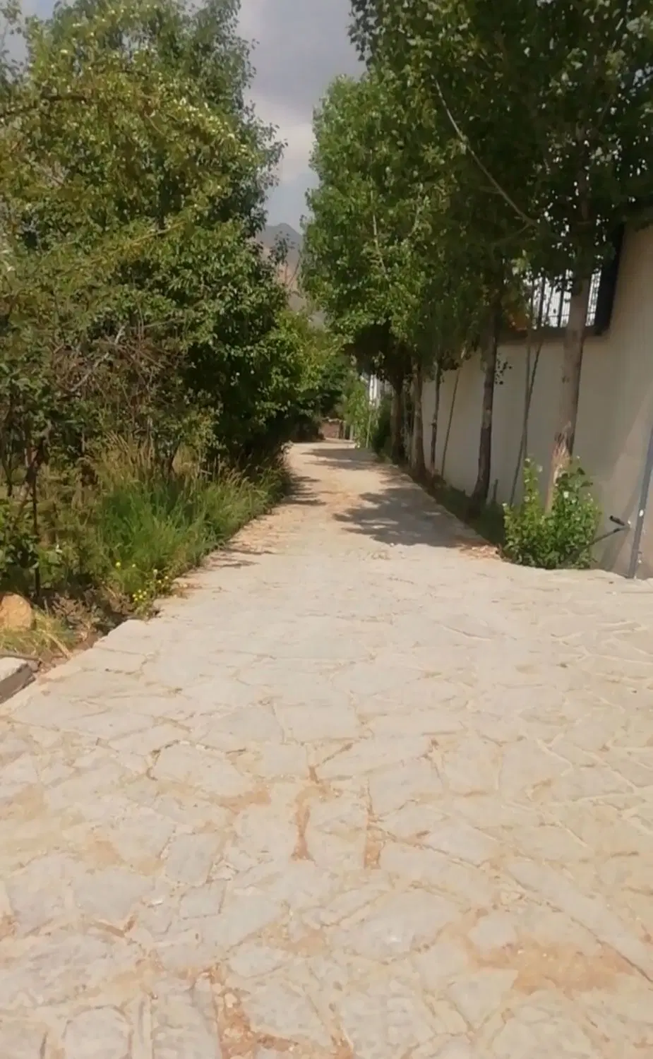 زمین میگون نو