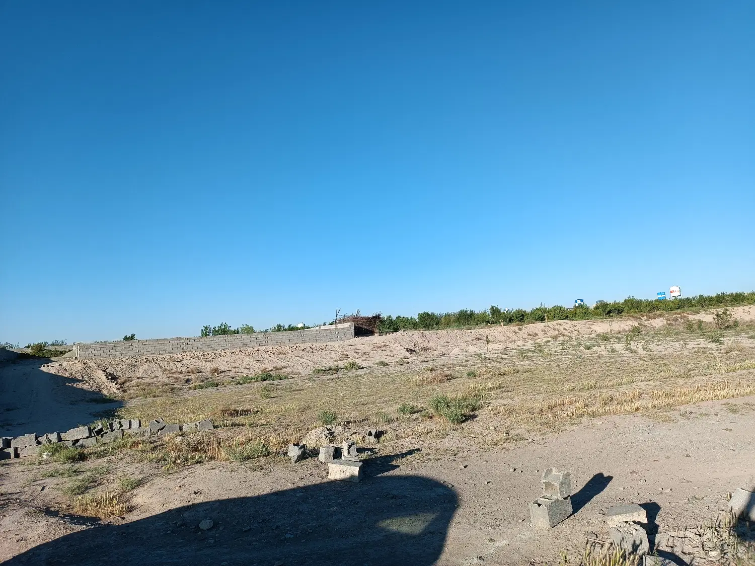 زمین باغی دو بهر