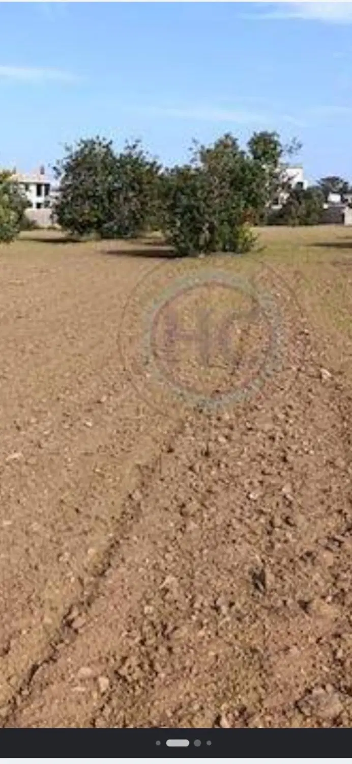 زمین سلیمانیه