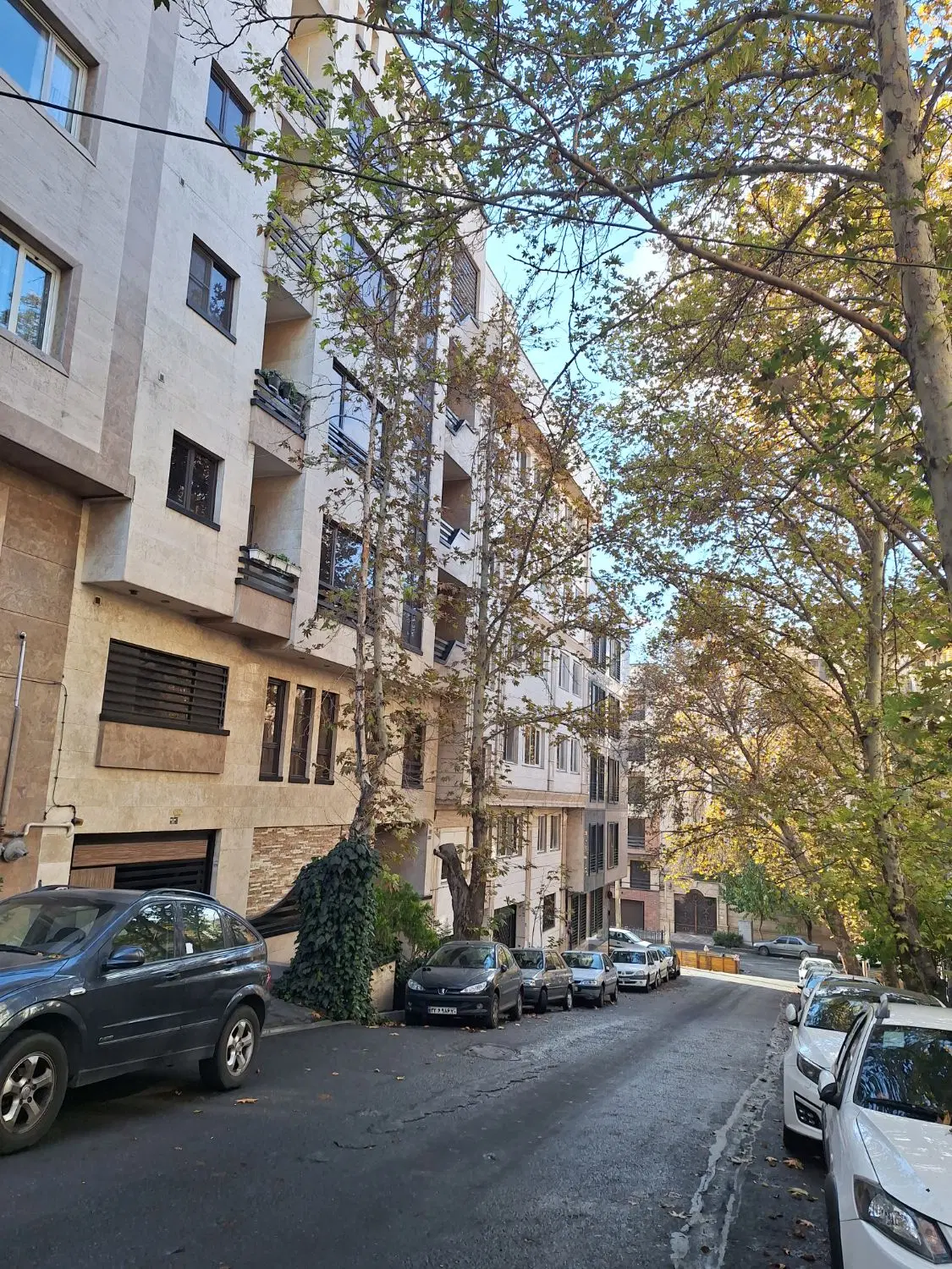 ۲۰۰متر کلنگی مدبر بر ۸ ،  ۵۰۰متر بنا