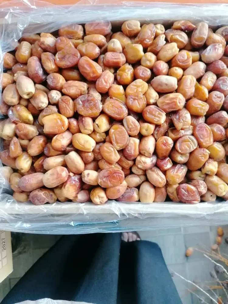 فروش باغ