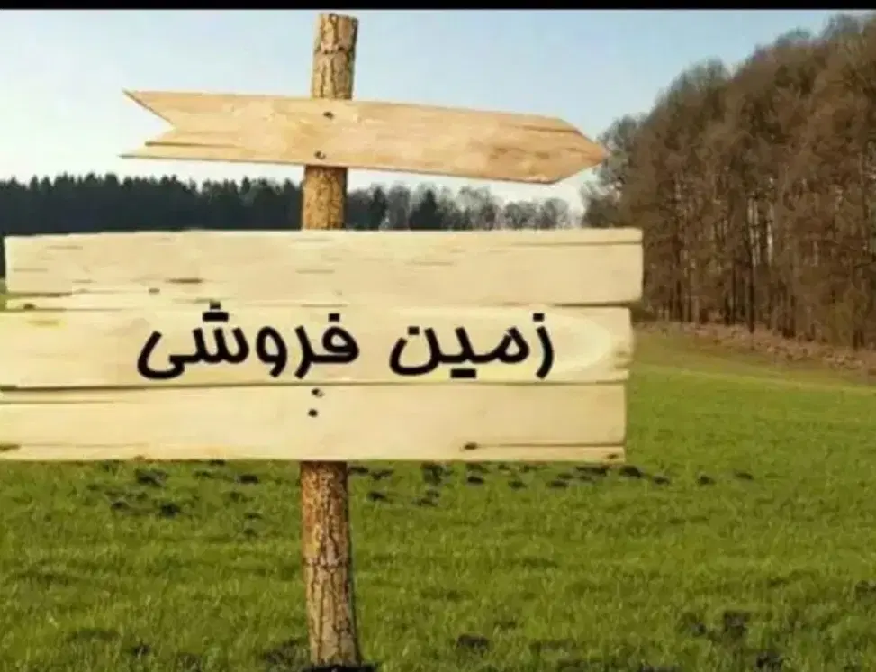 زمین