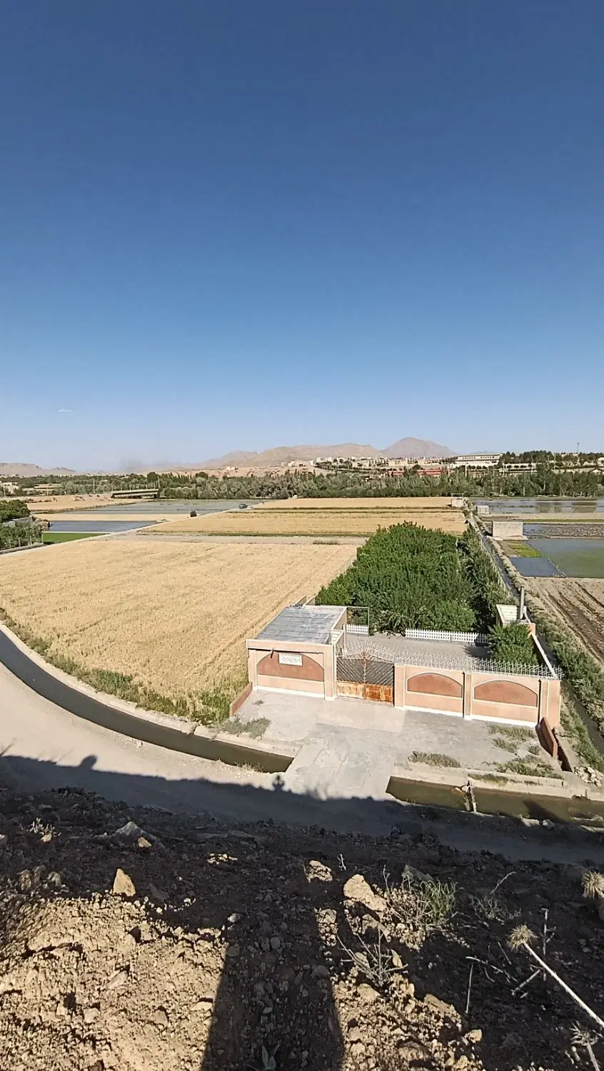 زمین کشاورزی و باغ