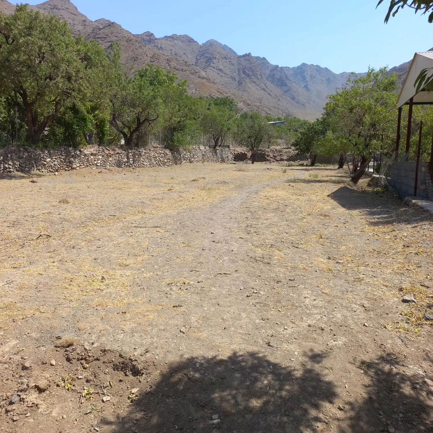 زمین باغی روستای وشنوه