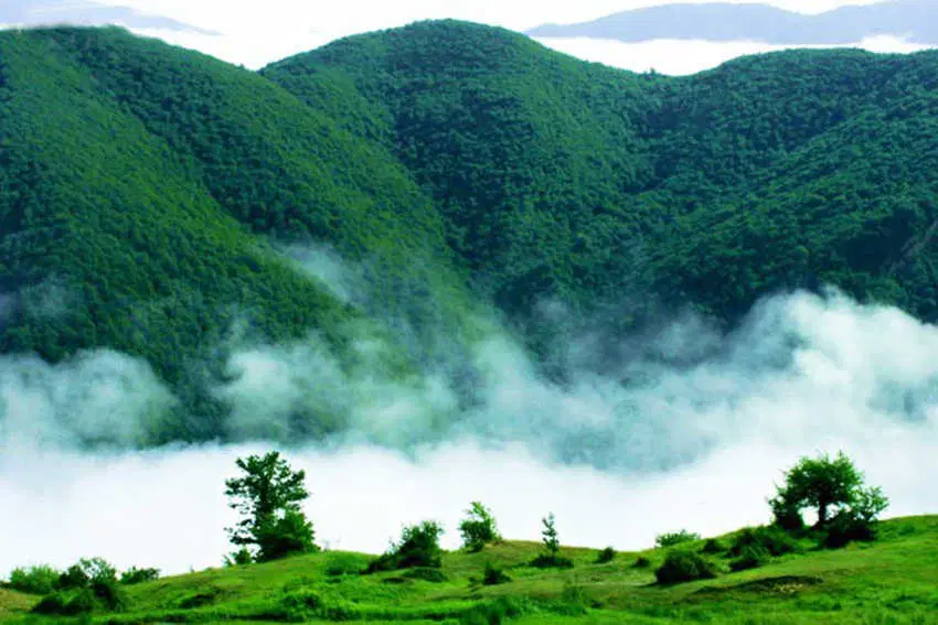 فروش زمین داخل بافت روستای آسه