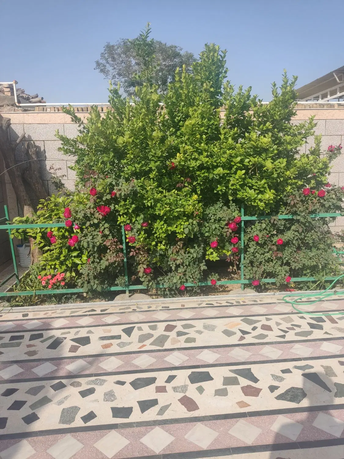 فروش زمین مسکونی فوری