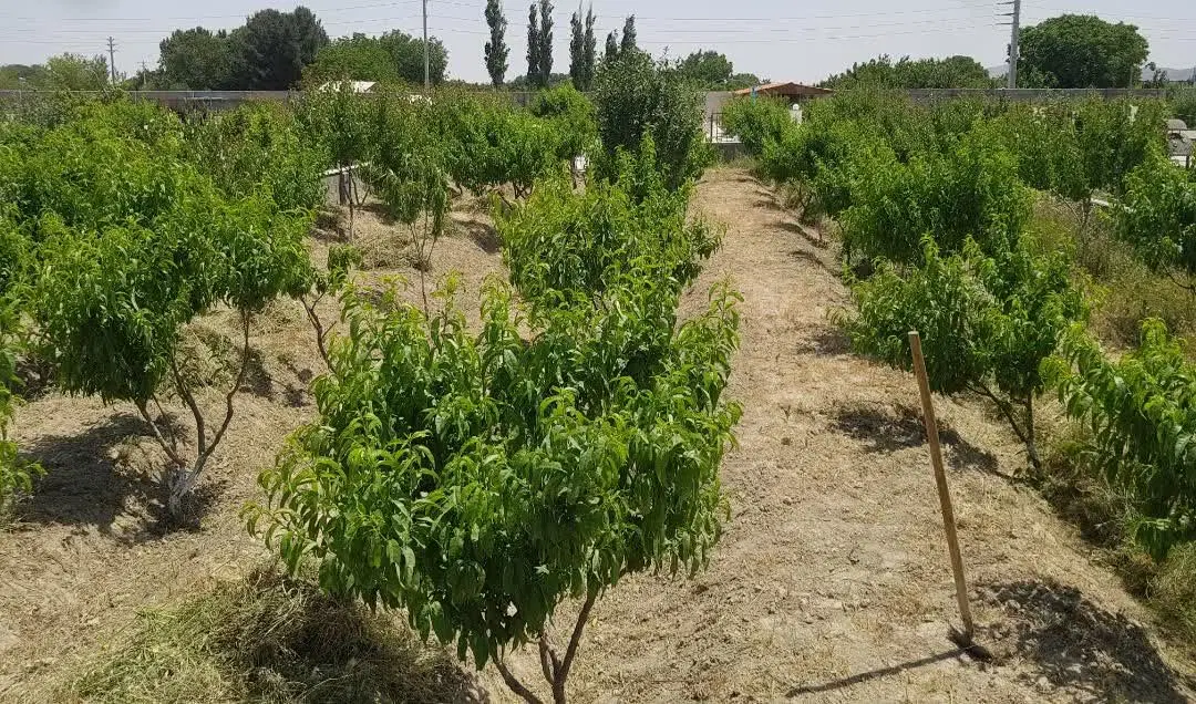 اجاره تجاری_۹۵ متر _ واوان