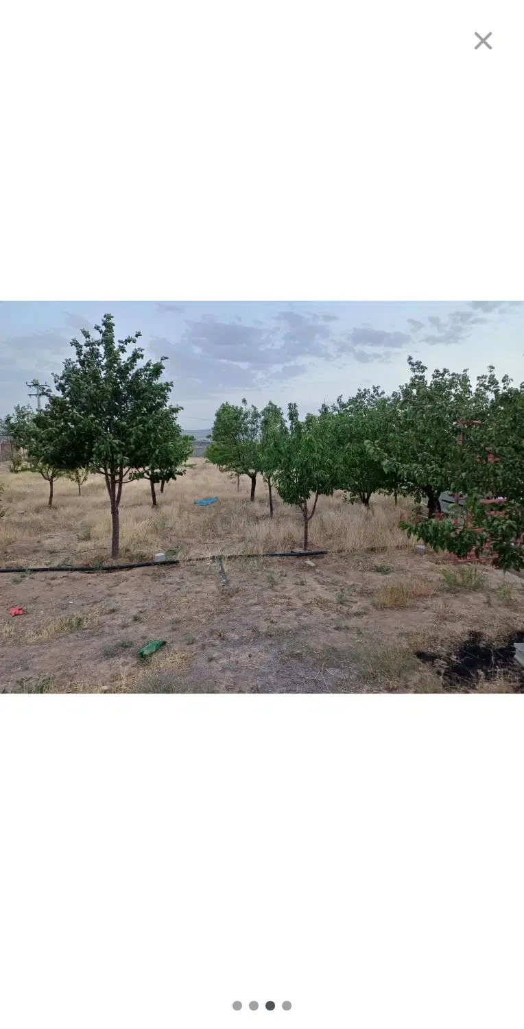 باغ در روستای کهناب