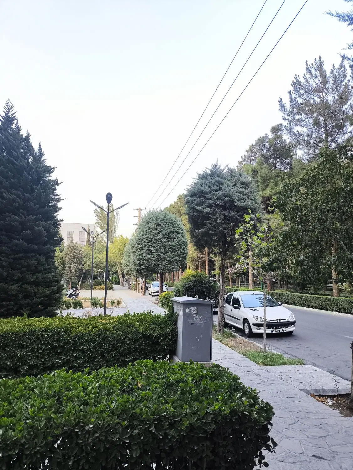 اجاره مغازه 150 متر بر بلوار اصلی فاز 1 چهارباندی