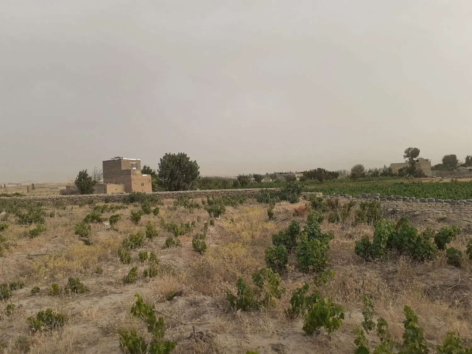 زمین باغی درسرخ آباد