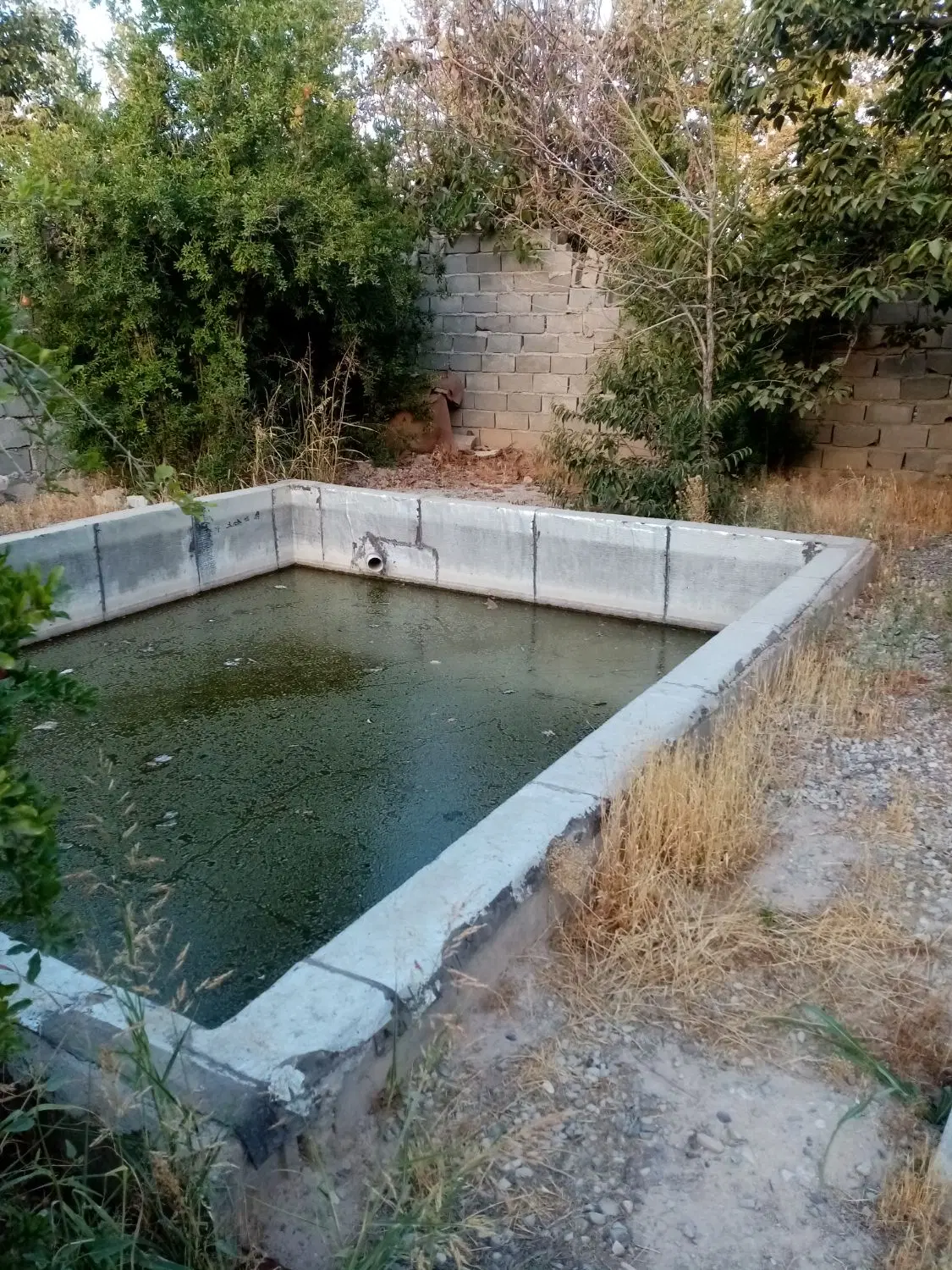 باغچه 500 متری