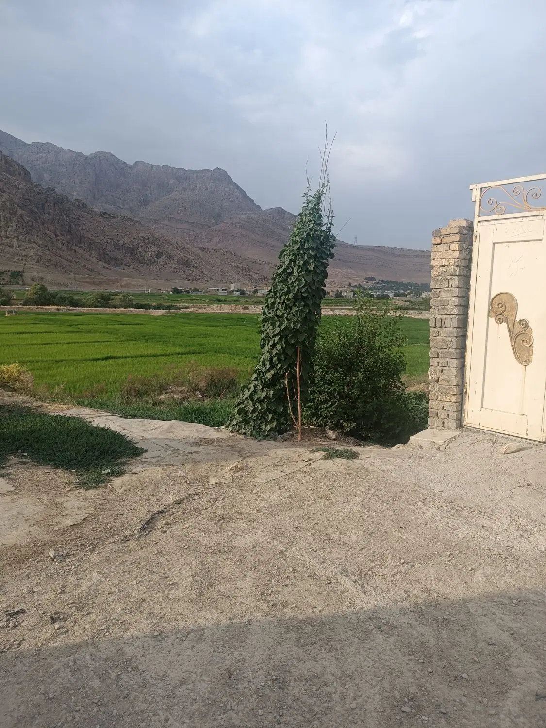 زمین ۱۲۰ متری در انتهای خیابان ارم ..حاج خدیجه