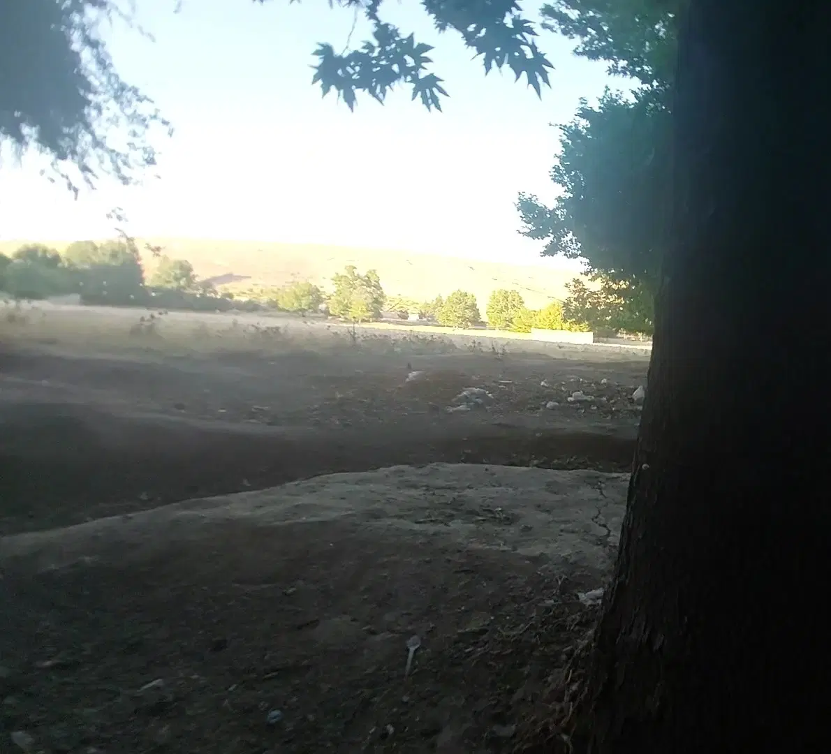 زمین باغی قصر قمشه