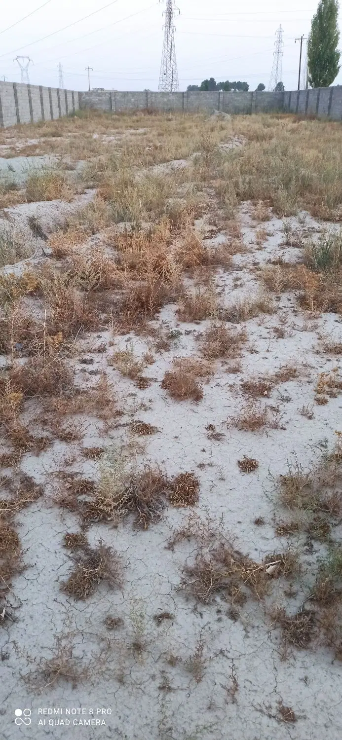 زمین فروشی