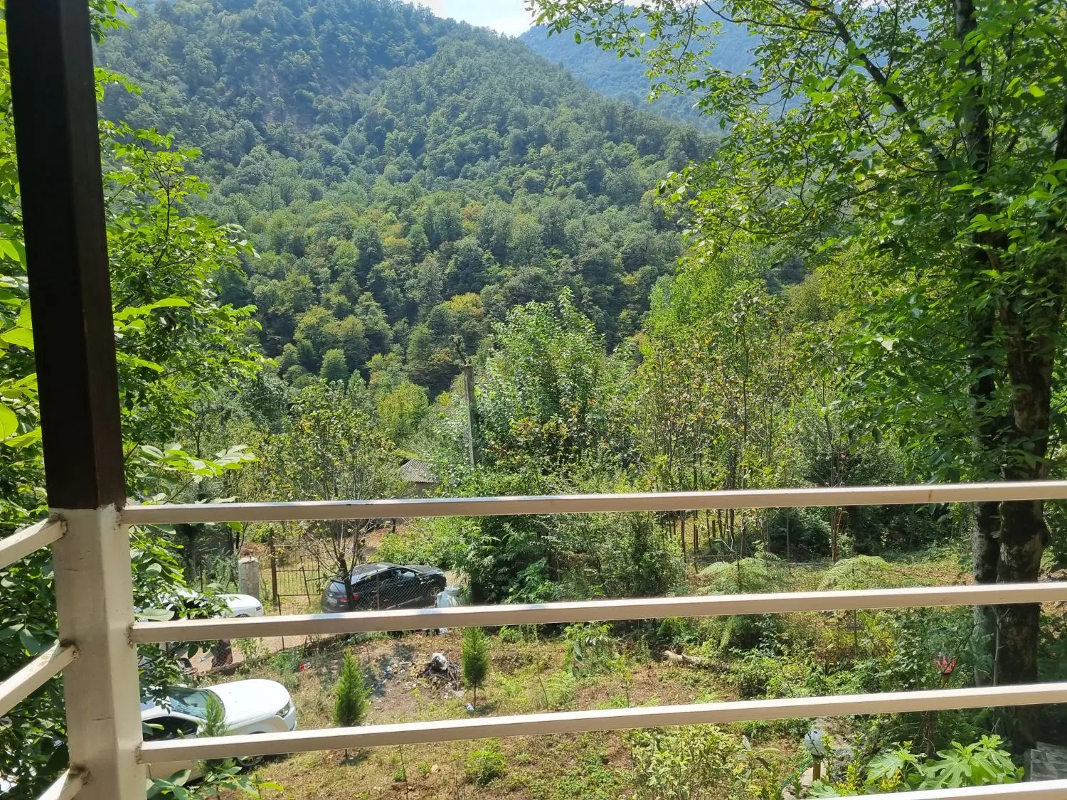 ویلا جنگلی
