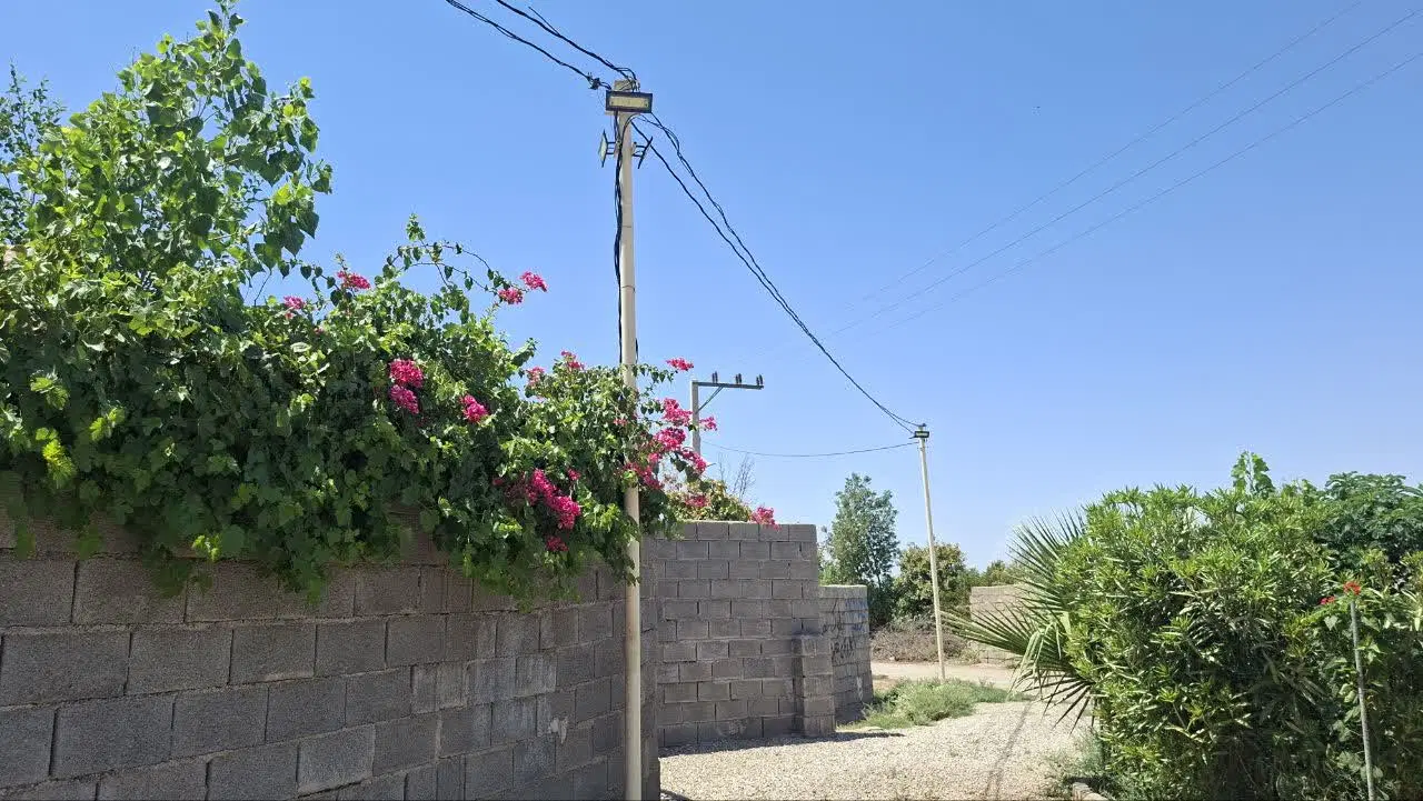 باغ درجه یک بن جعفر