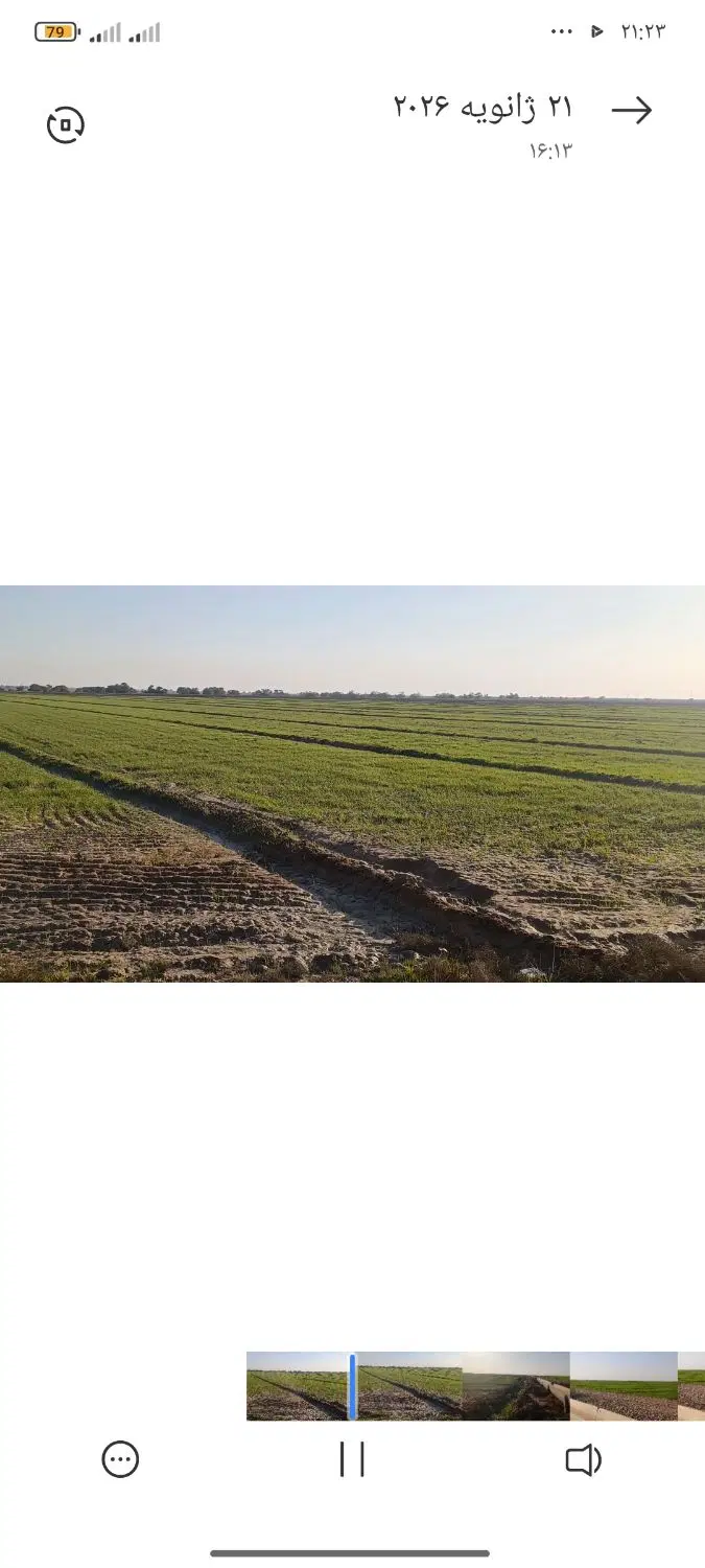 اجاره زمین کشاورزی