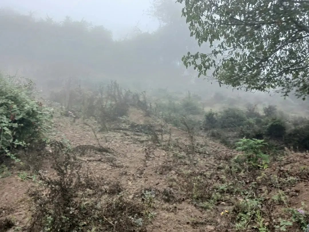 زمین روستای ریگ چشمه ۲۰۰ متر