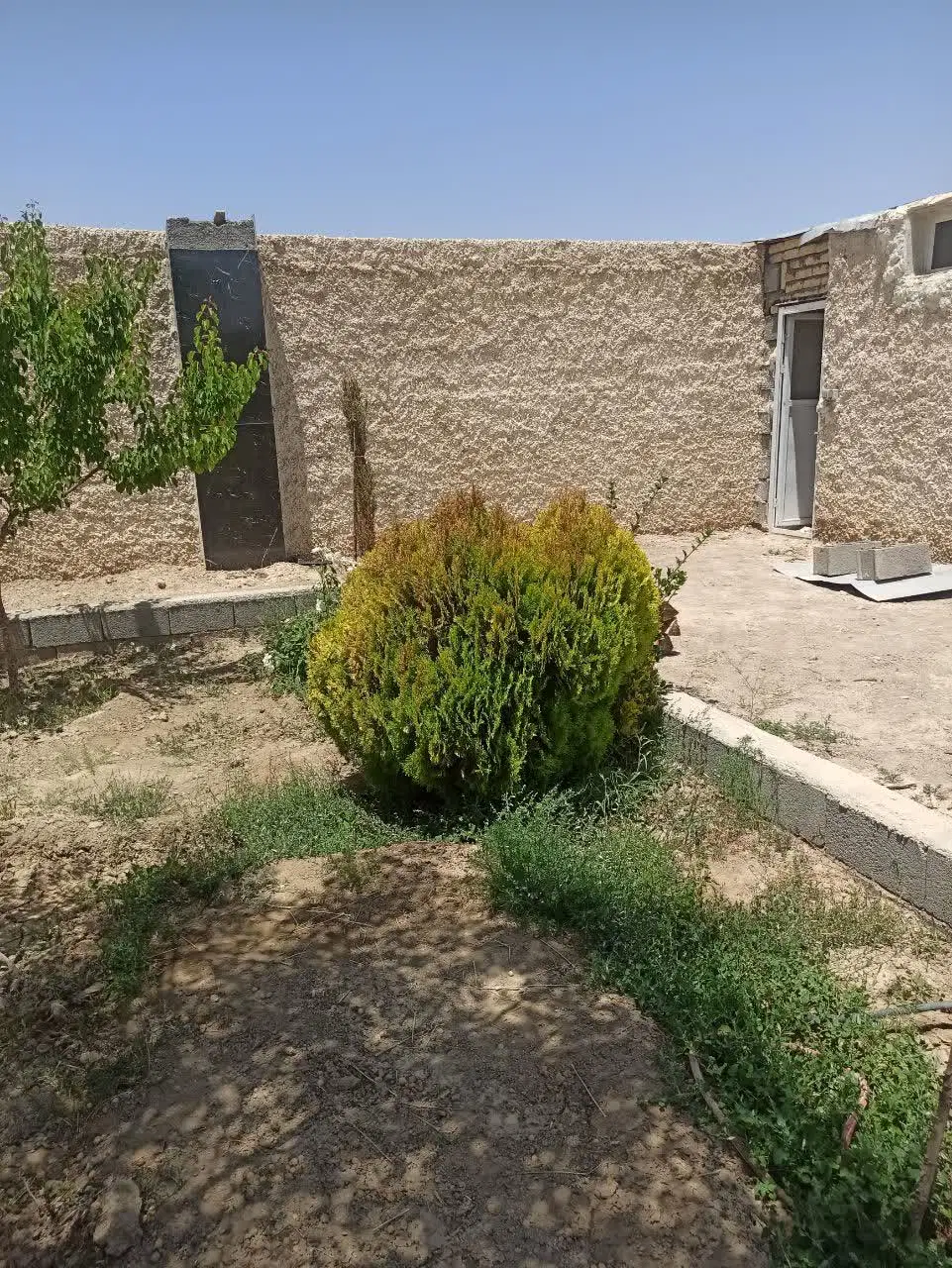 باغ