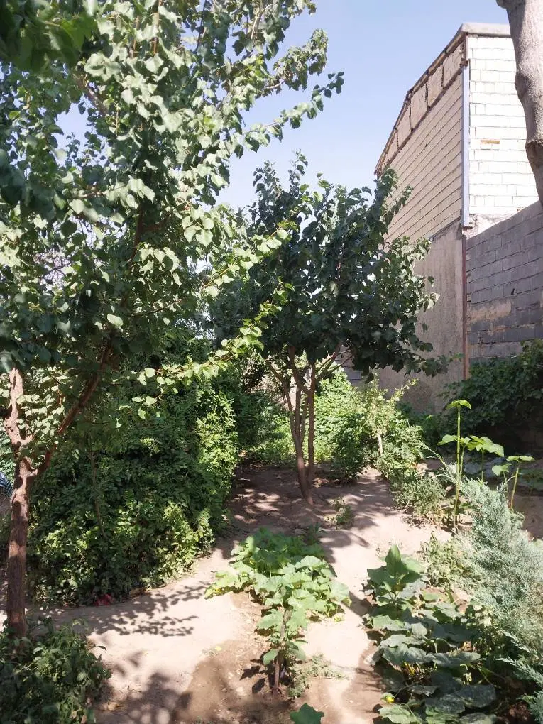 خانه اجاره ای