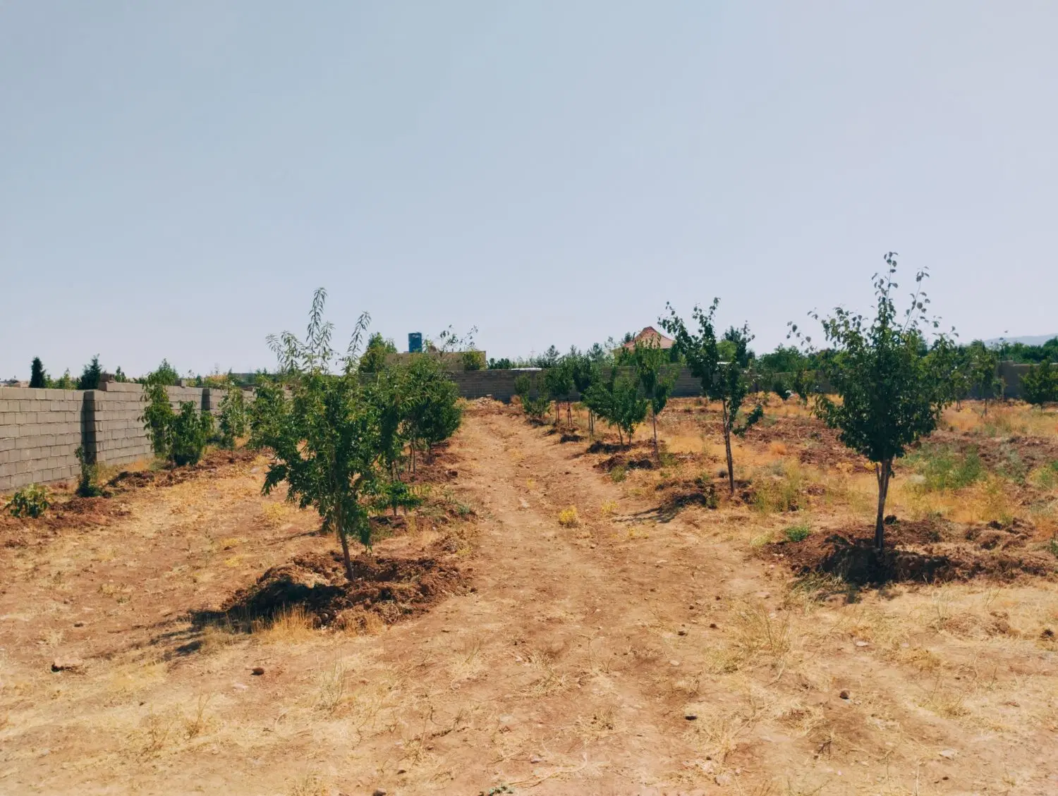 باغ کودیان