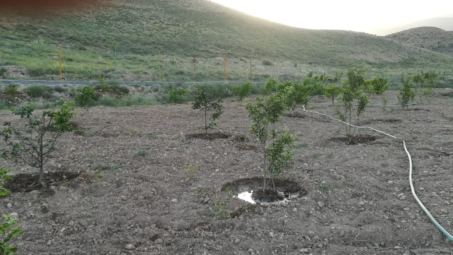 ۱۸۰۰ متر باغ محصور با سند تک برگ در شهرآباد