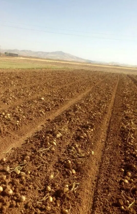 زمین کشاورزی در روستای محمودابادشهاب