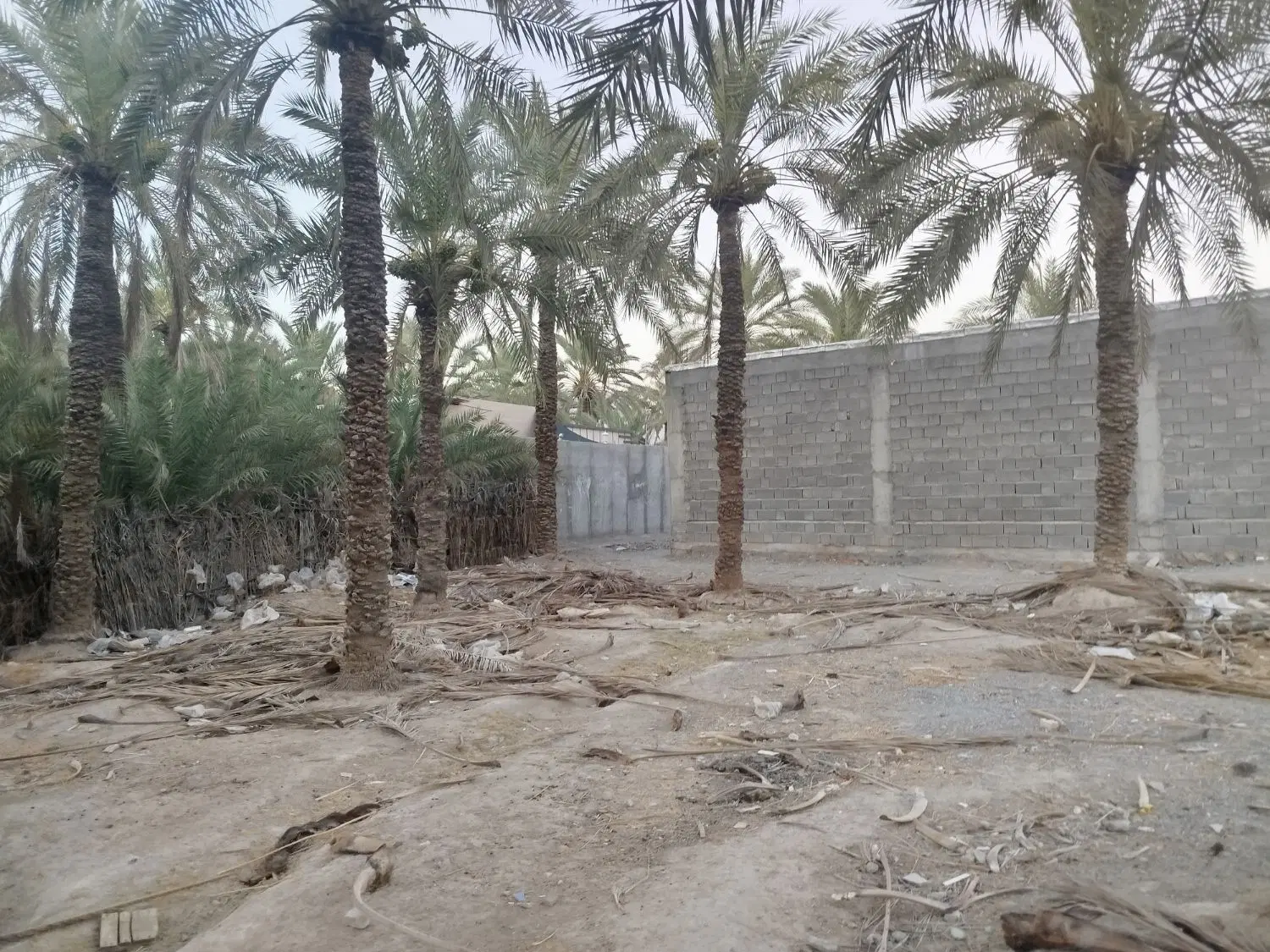 فروش زمین