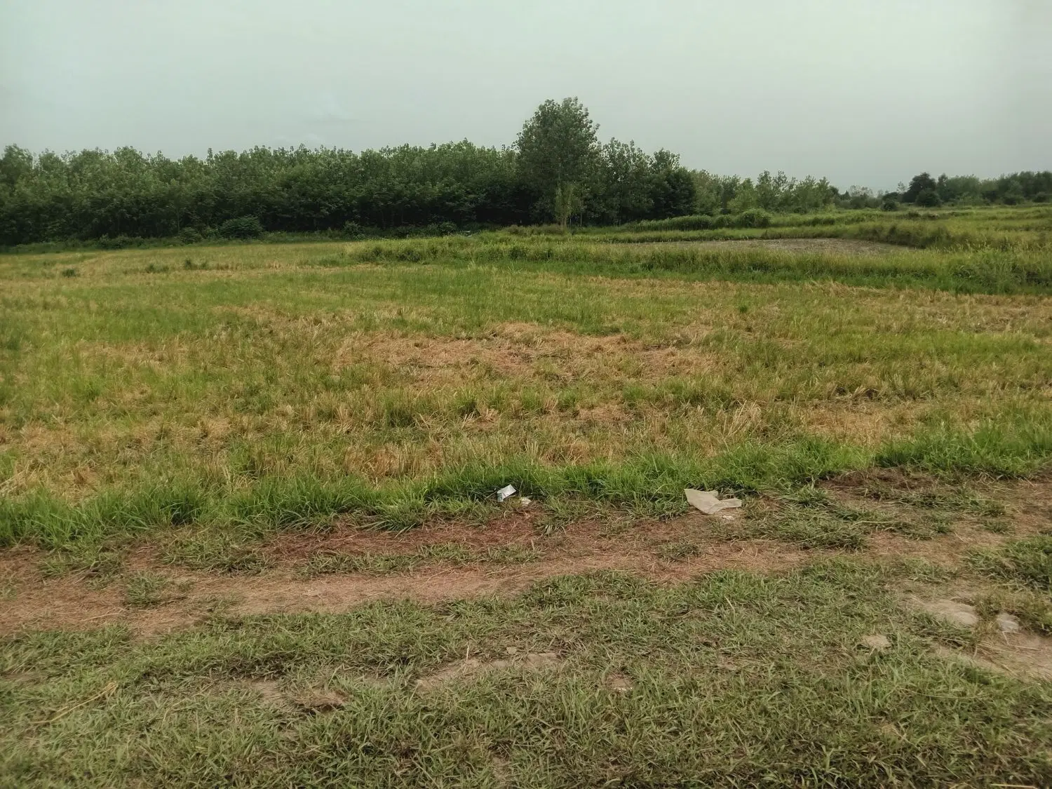 رهن و اجاره