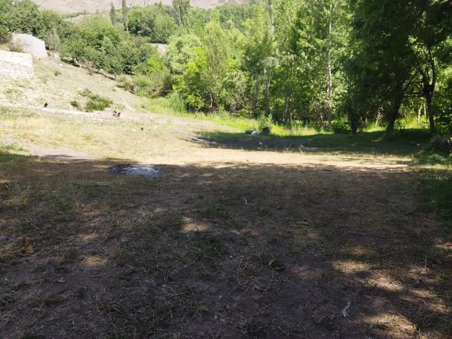 فروش زمین