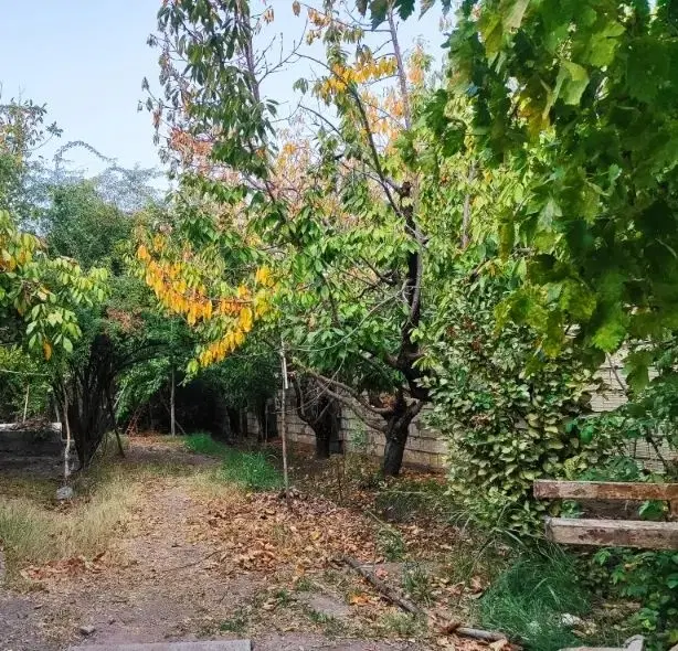 خونه باغ نقلی در کوهپایه زیر قیمت