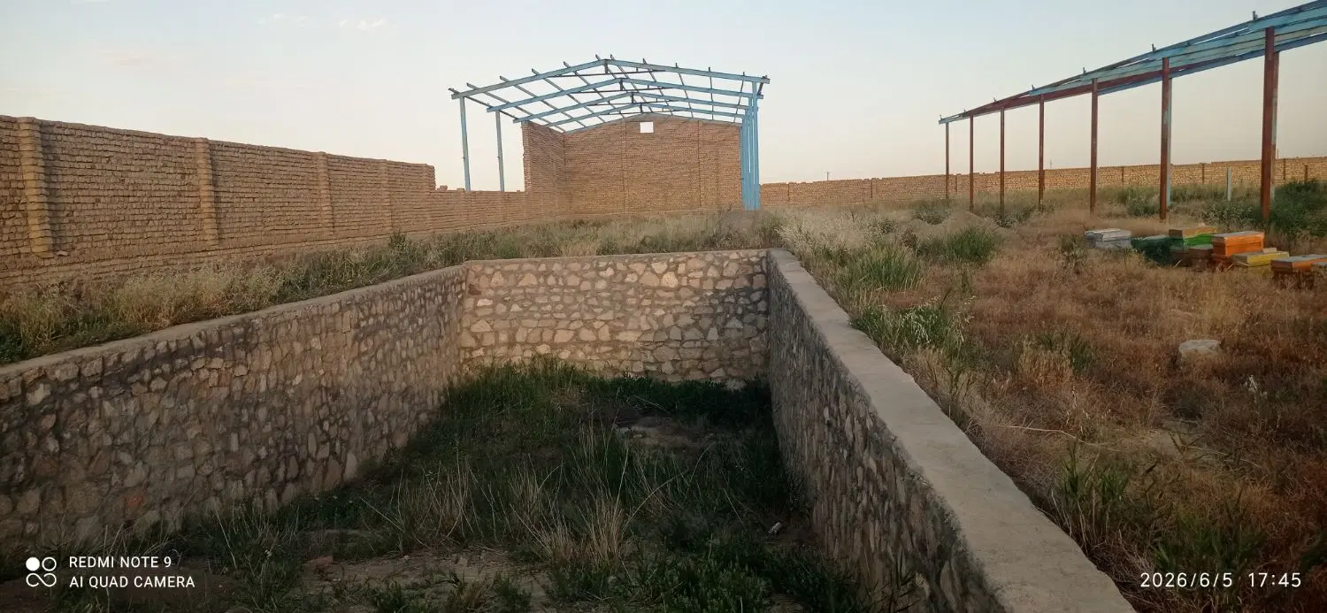 فروش دامداری