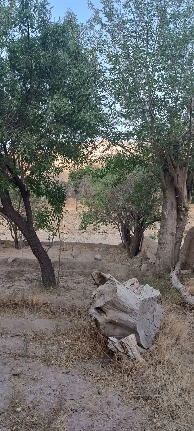 خونه و باغ خوش قیمت سانیج