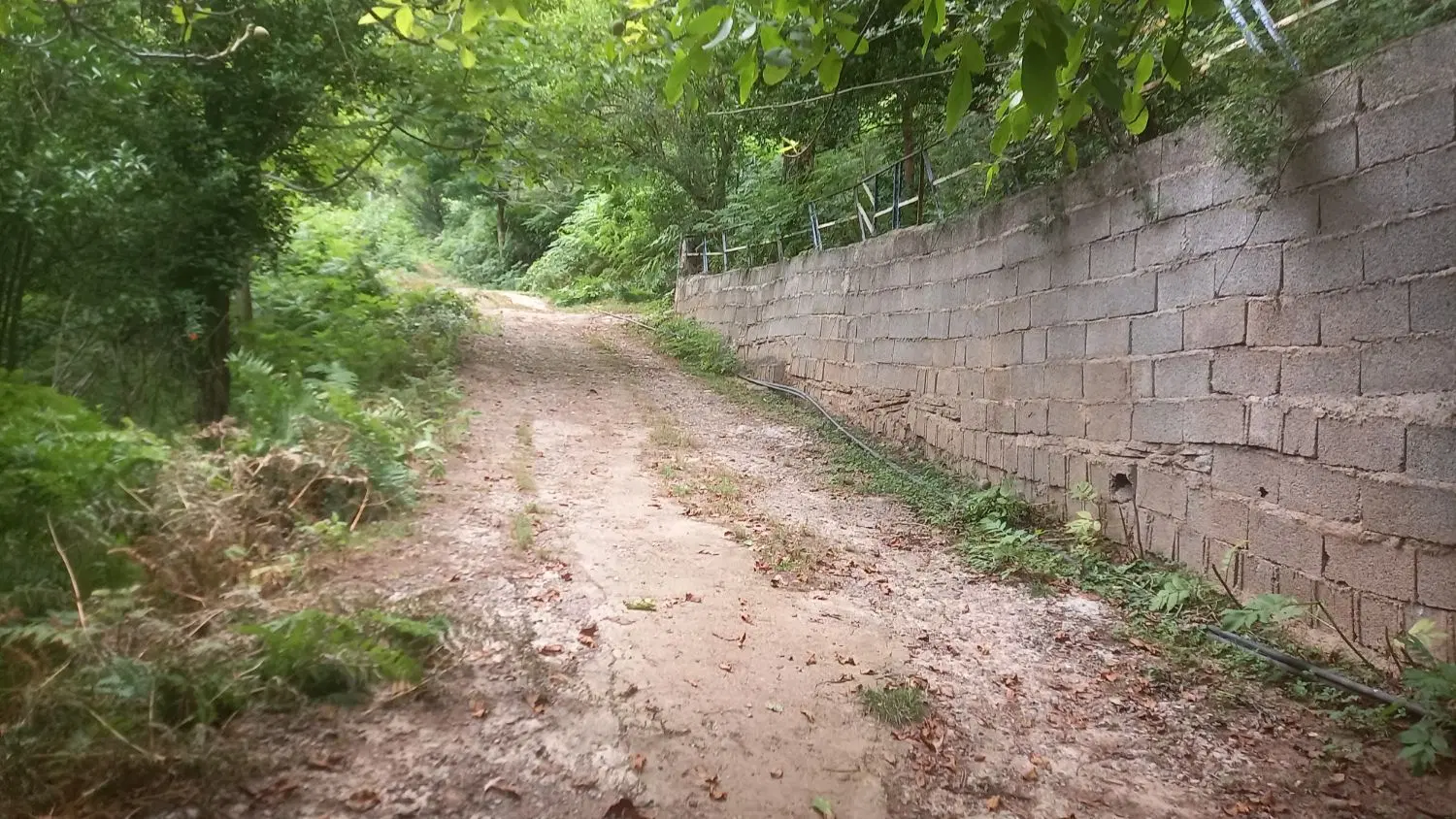زمین مسکونی