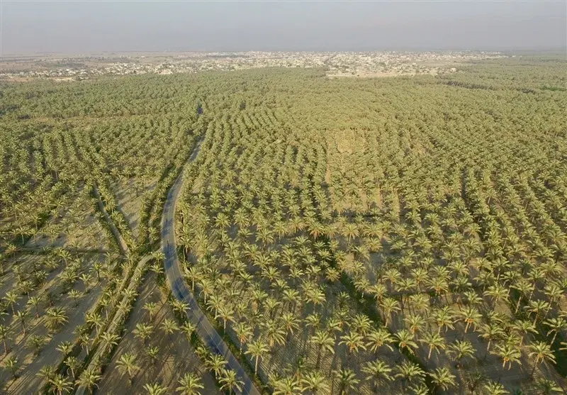 زمین تجاری مسکونی