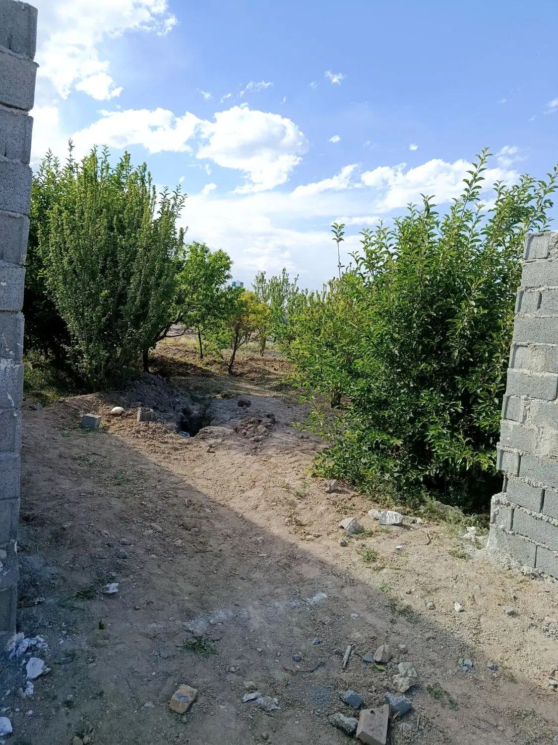 باغ یا باغچه سند دار