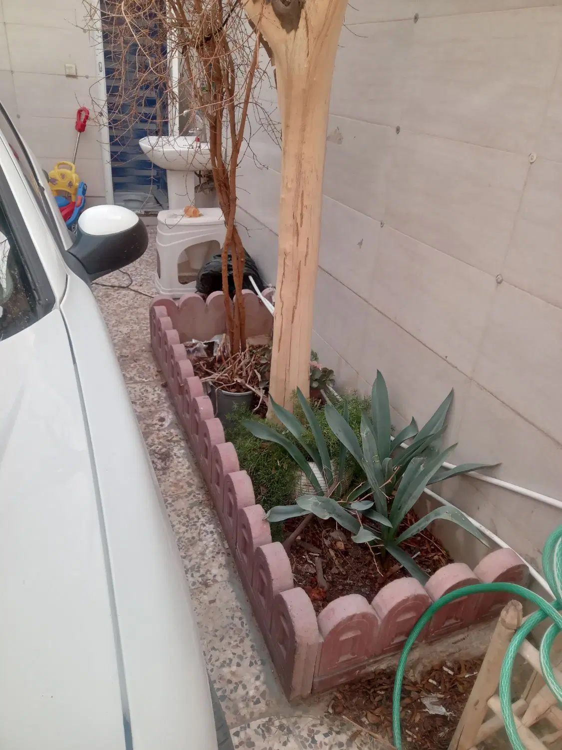 منزل ملکی سند تک برگ