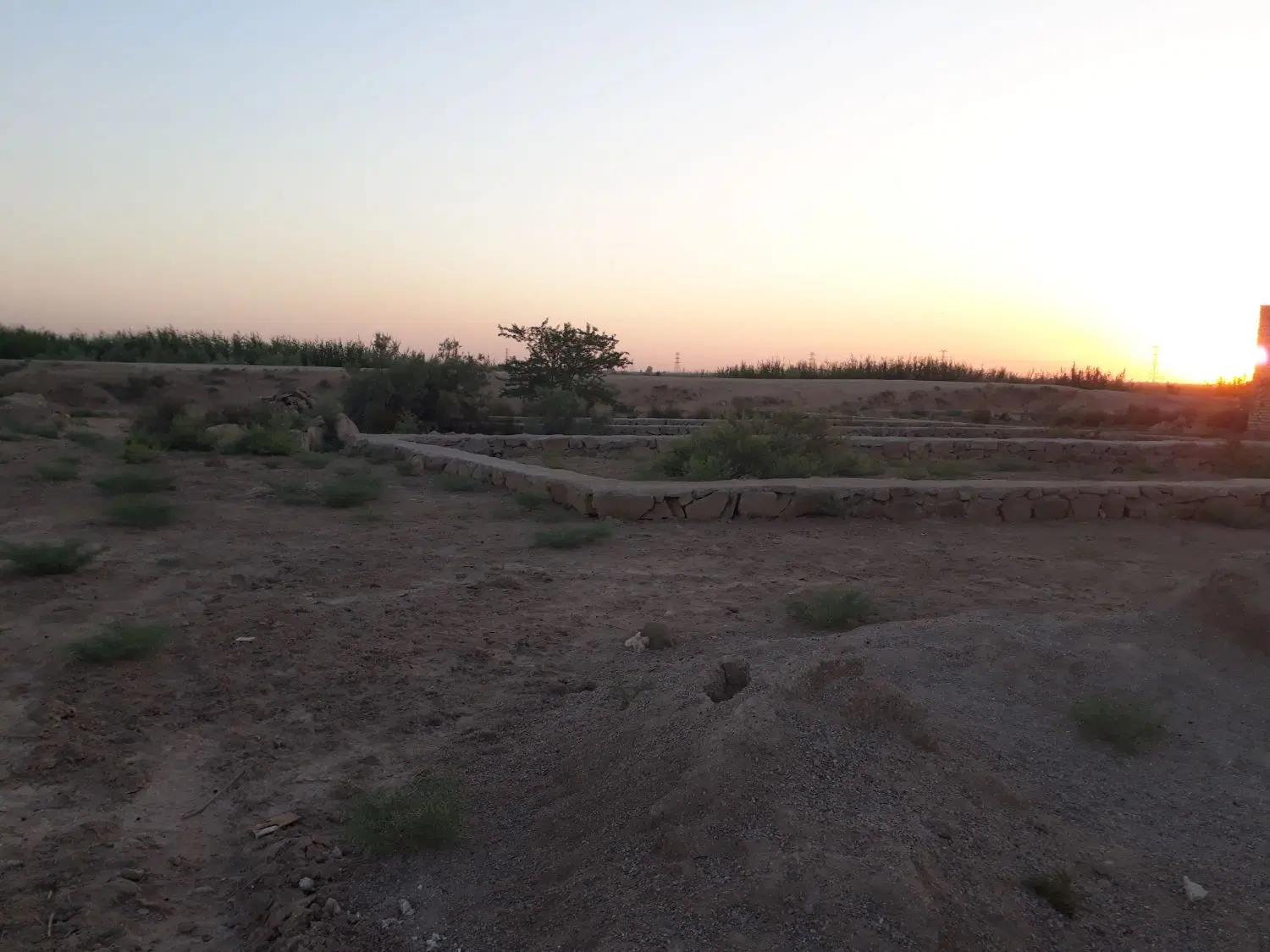 زمین شیبان