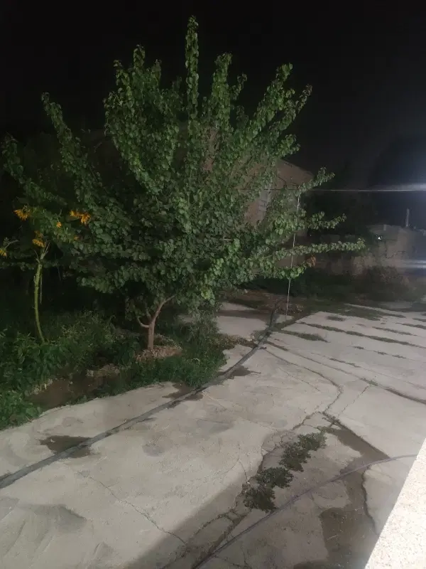 منزل و سوله تجاری
