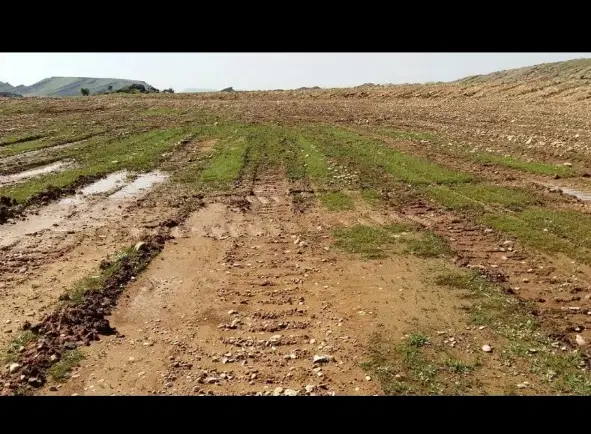 اجاره کننده زمین کشاورزی با آب شیرین هستم