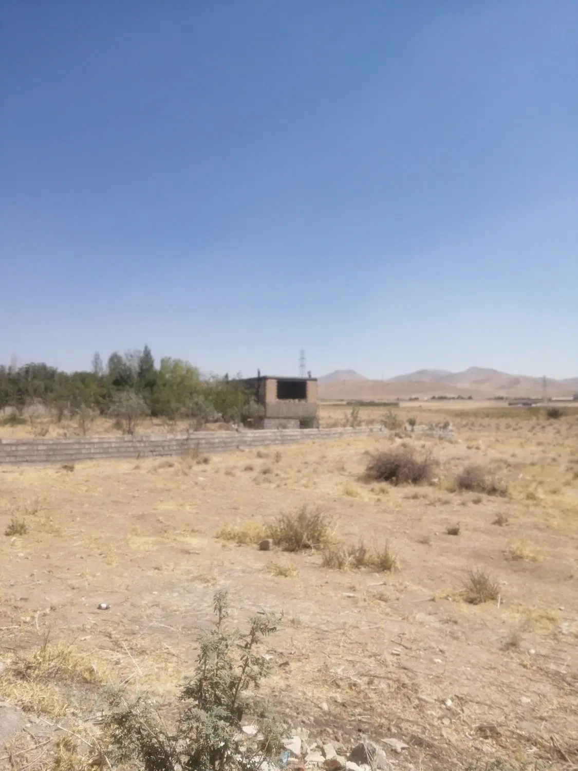 زمین مخصوص گل خانه