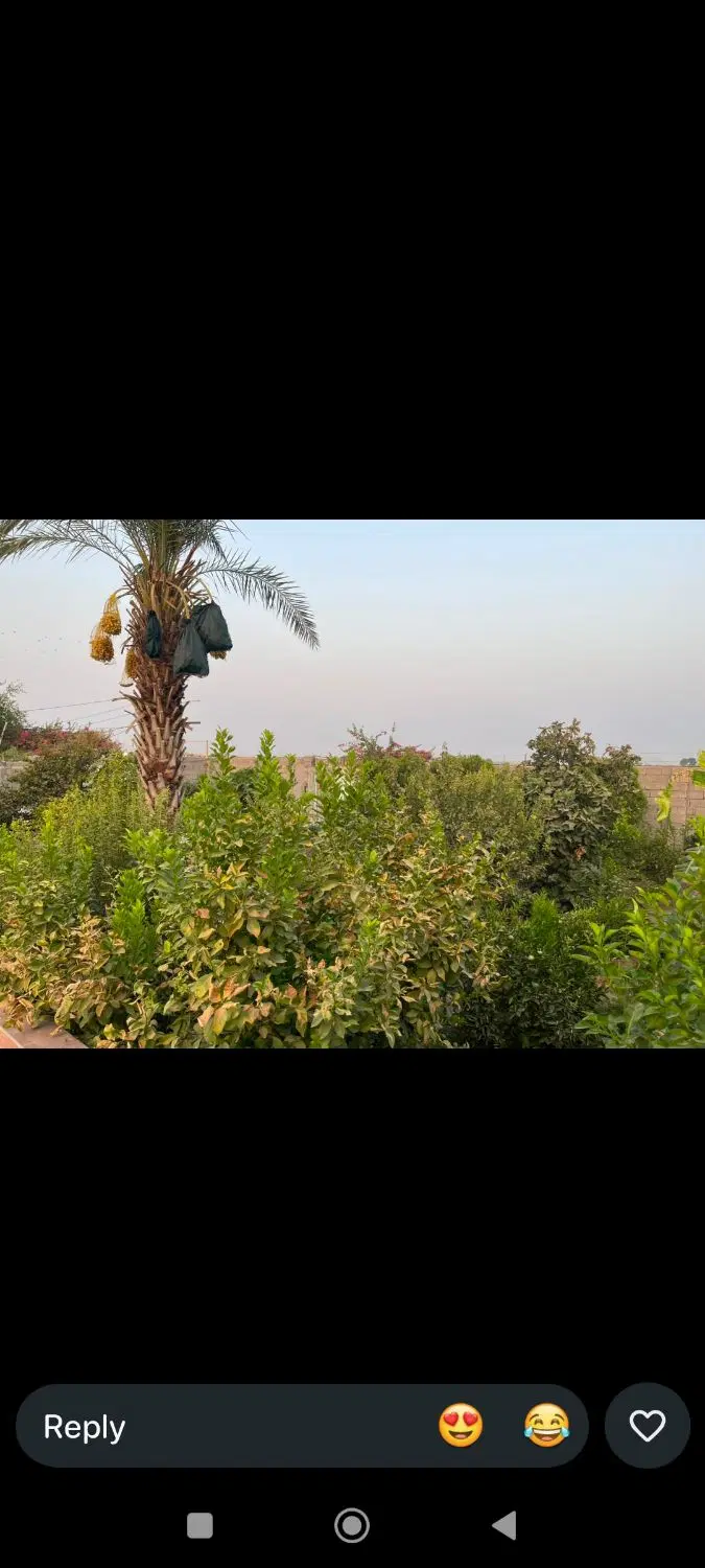 فروش قطعه ۷۰۰ متری   شهر شمس آباد